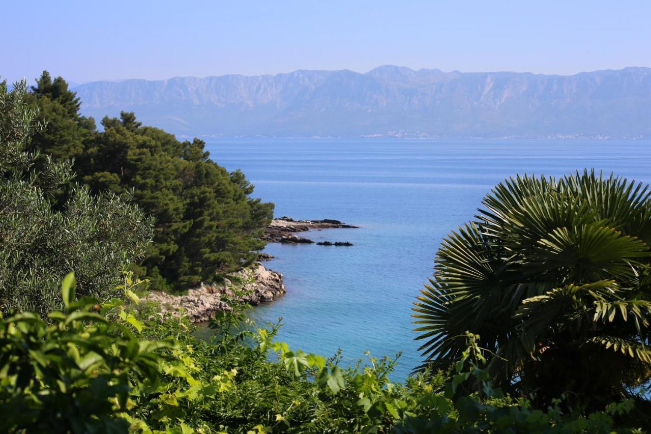 Apartments And Rooms By The Sea Trpanj, Peljesac - 258 외부 사진