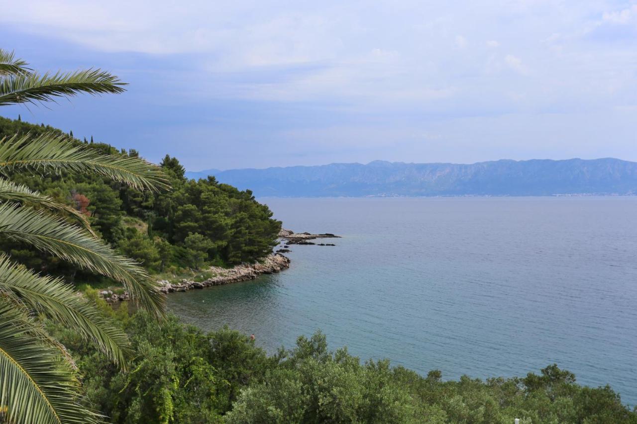 Apartments And Rooms By The Sea Trpanj, Peljesac - 258 외부 사진